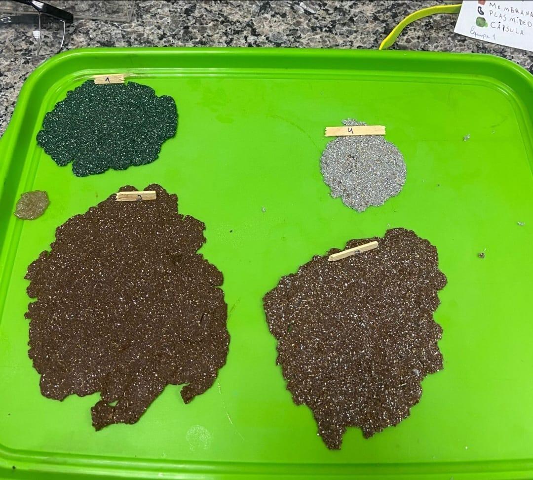 Diferentes texturas e cores do EMAV