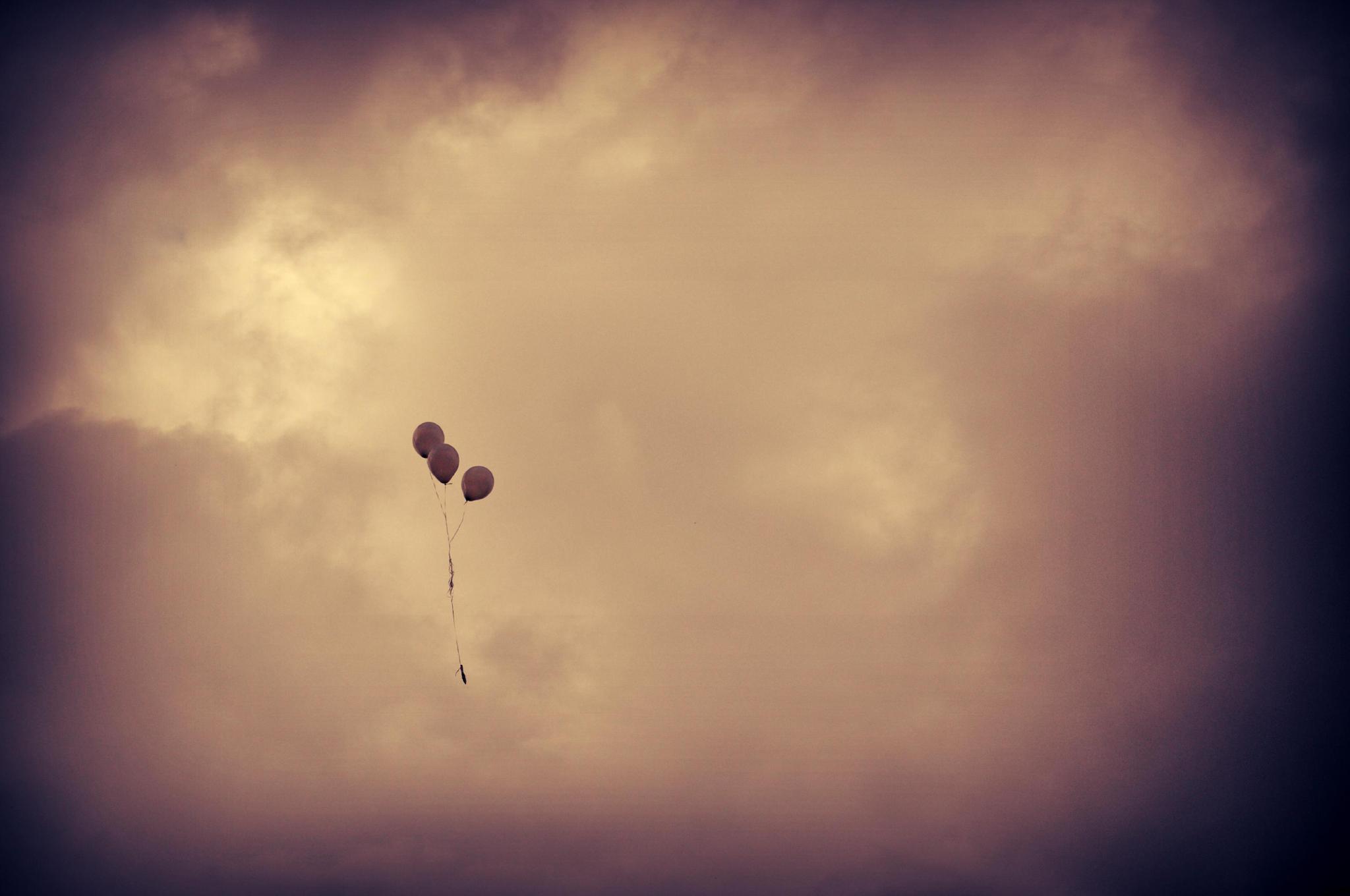 O Dia em Que Nos Perdemos